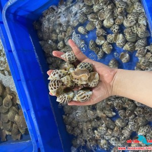 /uploads/photos/thumbs/photos_300x300-55-c9be9973b2600b6f16d95daf2465311e.jpg